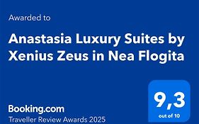 Anastasia Luxury Suites By Xenius Zeus In Nea Flogita